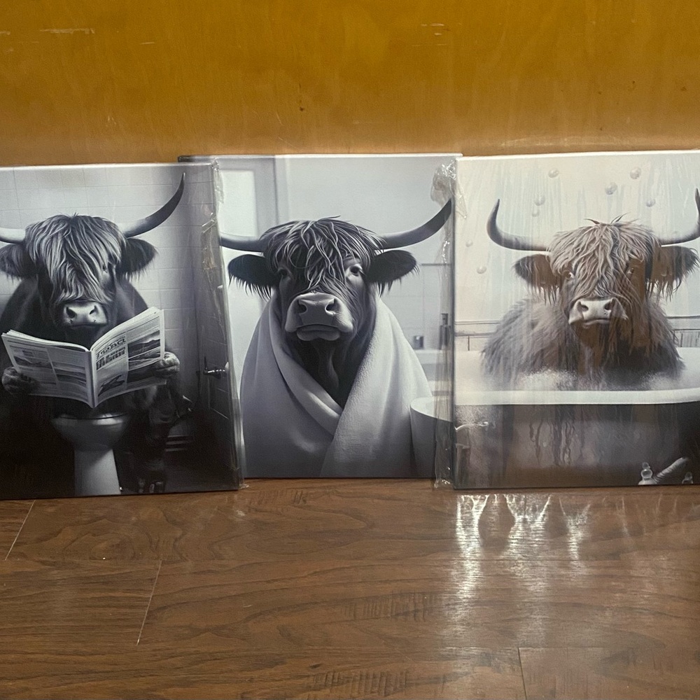Highland Cow Art 3 Print Set - Black and White 11x14